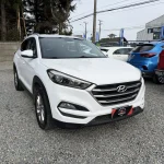 HYUNDAI GL ADVANCE AT 2016